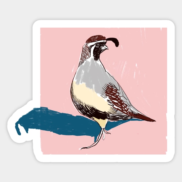 Quail Sticker by Sophie Lucido Johnson